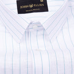 Sarlic Green Stripe Cotton Linen Shirt - John Ellies