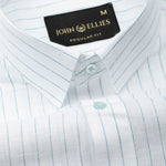 Lunar Green Stripe Luxurious Linen Shirt - John Ellies