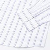 Faryn Multi Blue Stripe Linen Shirt