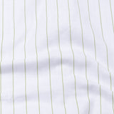 Flaen Green Strips Linen Shirt - John Ellies