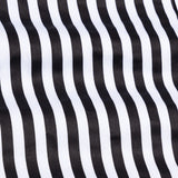 Holend Black Premium Cotton Stripes Shirt - John Ellies