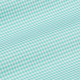 Hazel Lime Check Button Down Oxford Cotton Shirt - John Ellies