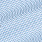 Hazel Sky Blue Check Button Down Oxford Cotton Shirt - John Ellies