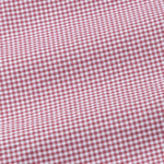 Radius Red Check White Cuff Collar Oxford Shirt - John Ellies