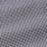 Radius Black Check White Cuff Collar Oxford Shirt - John Ellies