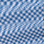 Radius Blue Check White Cuff Collar Oxford Shirt - John Ellies