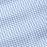 Nefrio Sky Blue Check Button Down Oxford Cotton Shirt - John Ellies