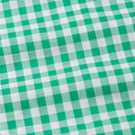 Santh Green Gingham Check Cotton Shirt - John Ellies