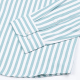 Strifox Green Stripe Oxford Cotton Shirt - John Ellies